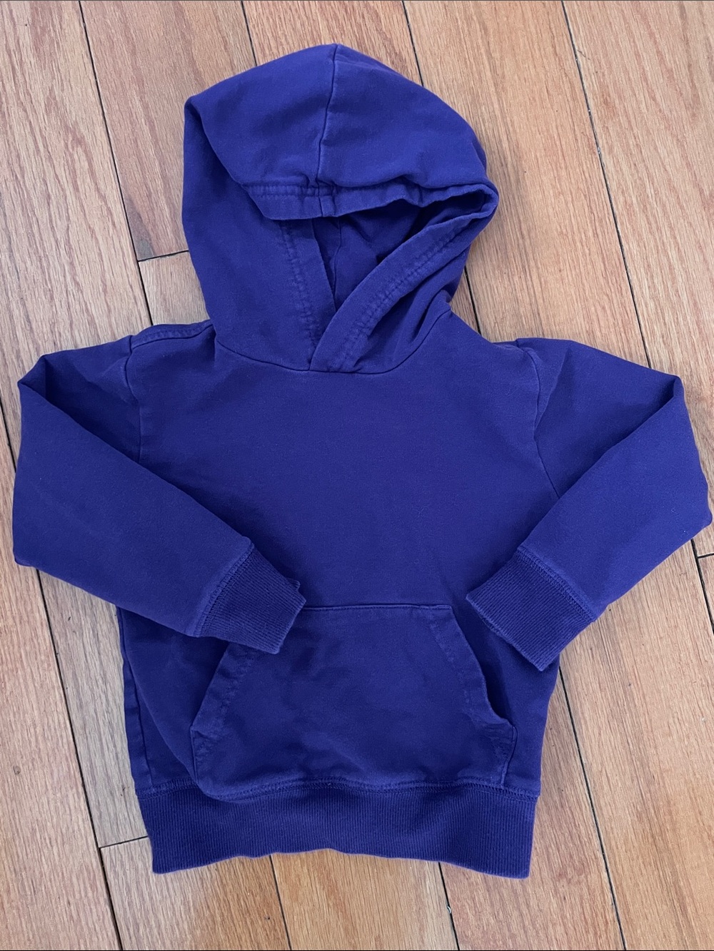 Primary Kids Hooded Pullover Sweatshirt in Purple